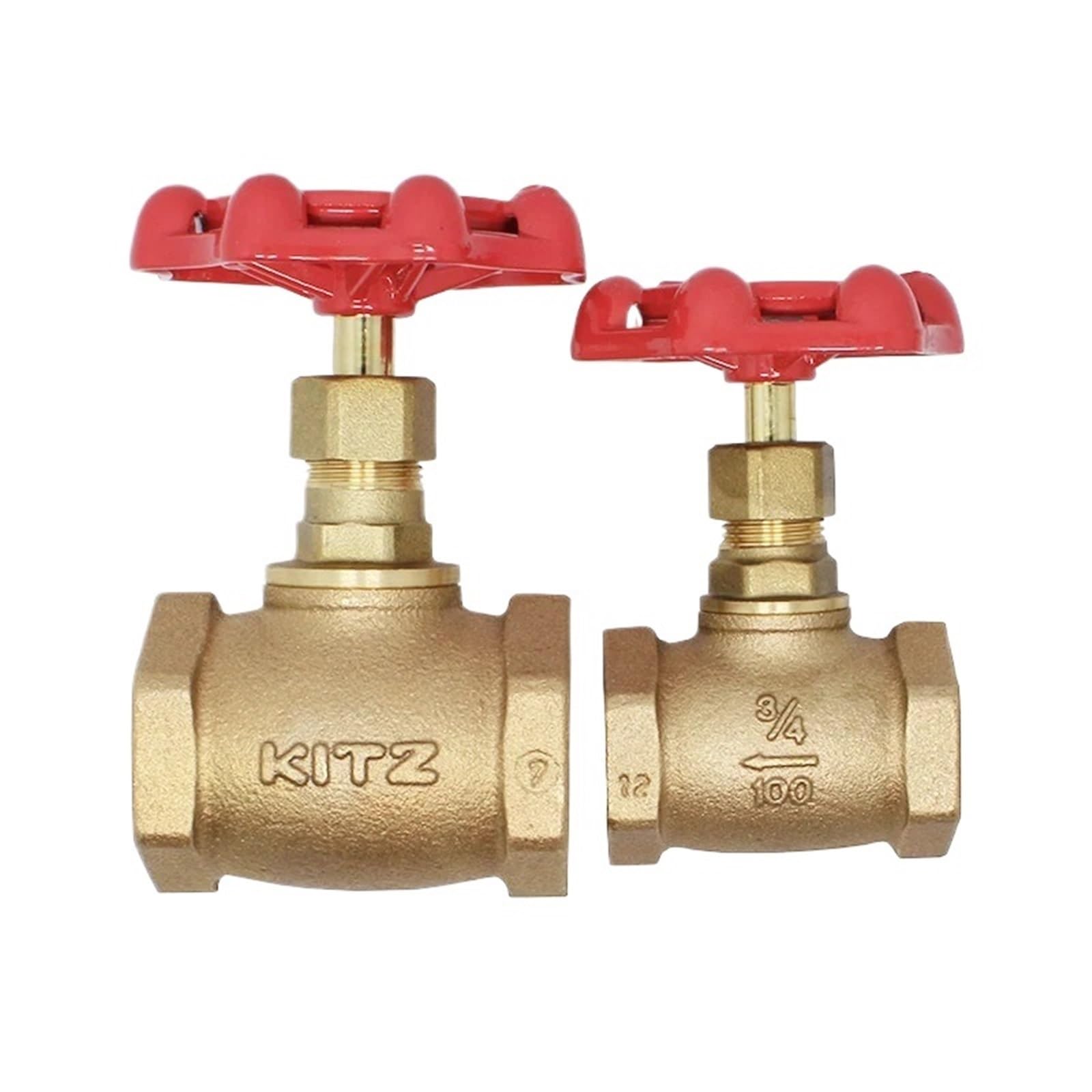 Globe valve KITZ DN32 en bronze robuste classe 100 à filetage femelle 1"