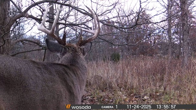 Amazon.com: WOSODA 2 Pack Trail Camera with Night Vision Motion