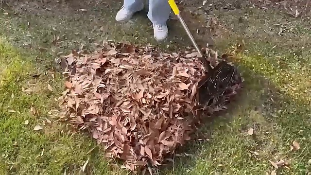 Rastrillo de jardín ajustable, 65 pulgadas, cabeza 18 pulgadas miniatura 7