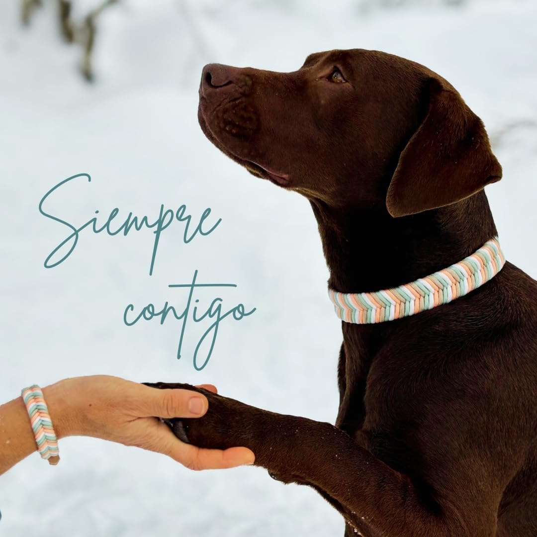 Collar Perro Pequeño, Collar para Perros de Biothane y Paracord con Acero Inoxidable, Pulsera a Juego, Hecho a Mano en España, Impermeable Ajustable y Duradero (Ama, S)