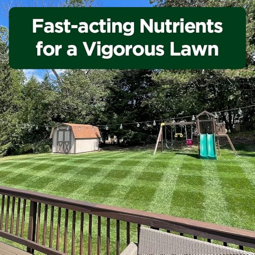 Fertilizante líquido para césped 16-4-8 Simple Lawn Solutions miniatura 7