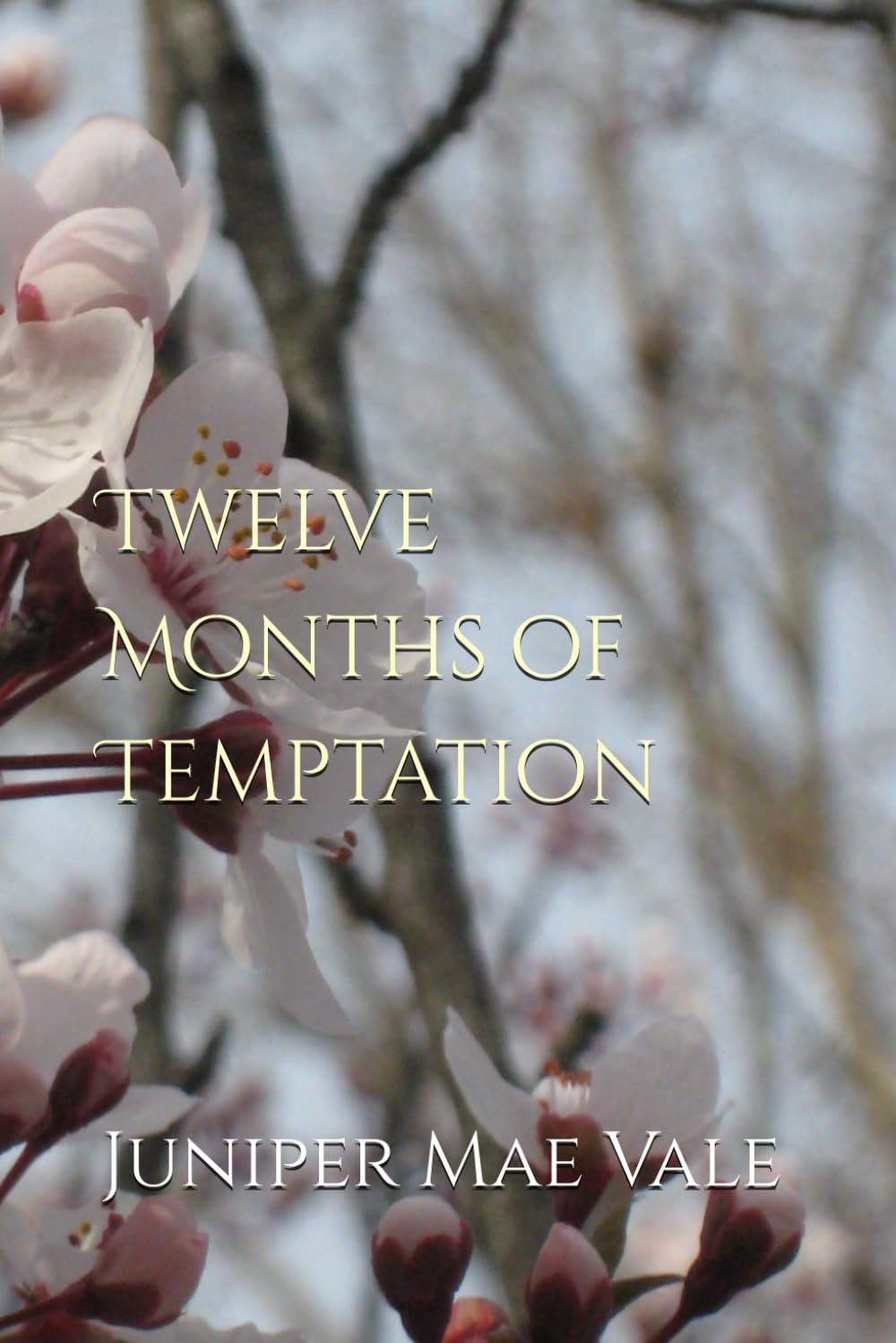 Twelve Months of Temptation