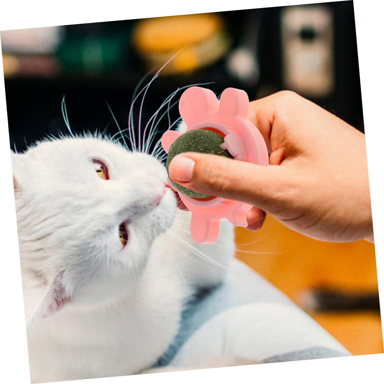4pezzi Palline Di Catnip Interattive Per Gatti Giocattoli Rotanti Edibili Per Pulizia Dei Denti e Divertimento Colori e Stimola Attività e Benessere Fisico