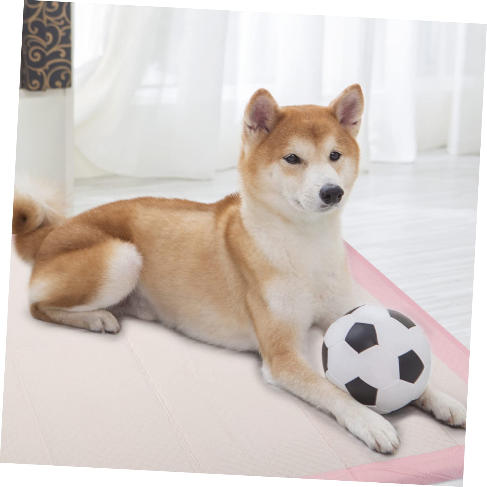 Tapis D'entraînement Absorbant pour Chiot et Petit Chien, Protections Urinaires Légères et Portables, 1 Sachet pour L'apprentissage Propreté