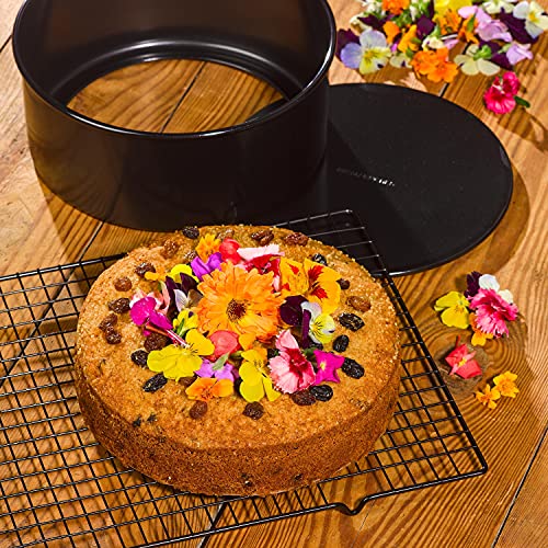 Tala Runder Tiefer Backform Performance, Herausnehmbarer Boden, Hochwertiger Karbonstahl mit Antihaftbeschichtung Eclipse, 25 cm; Ideal für Festtagstorten