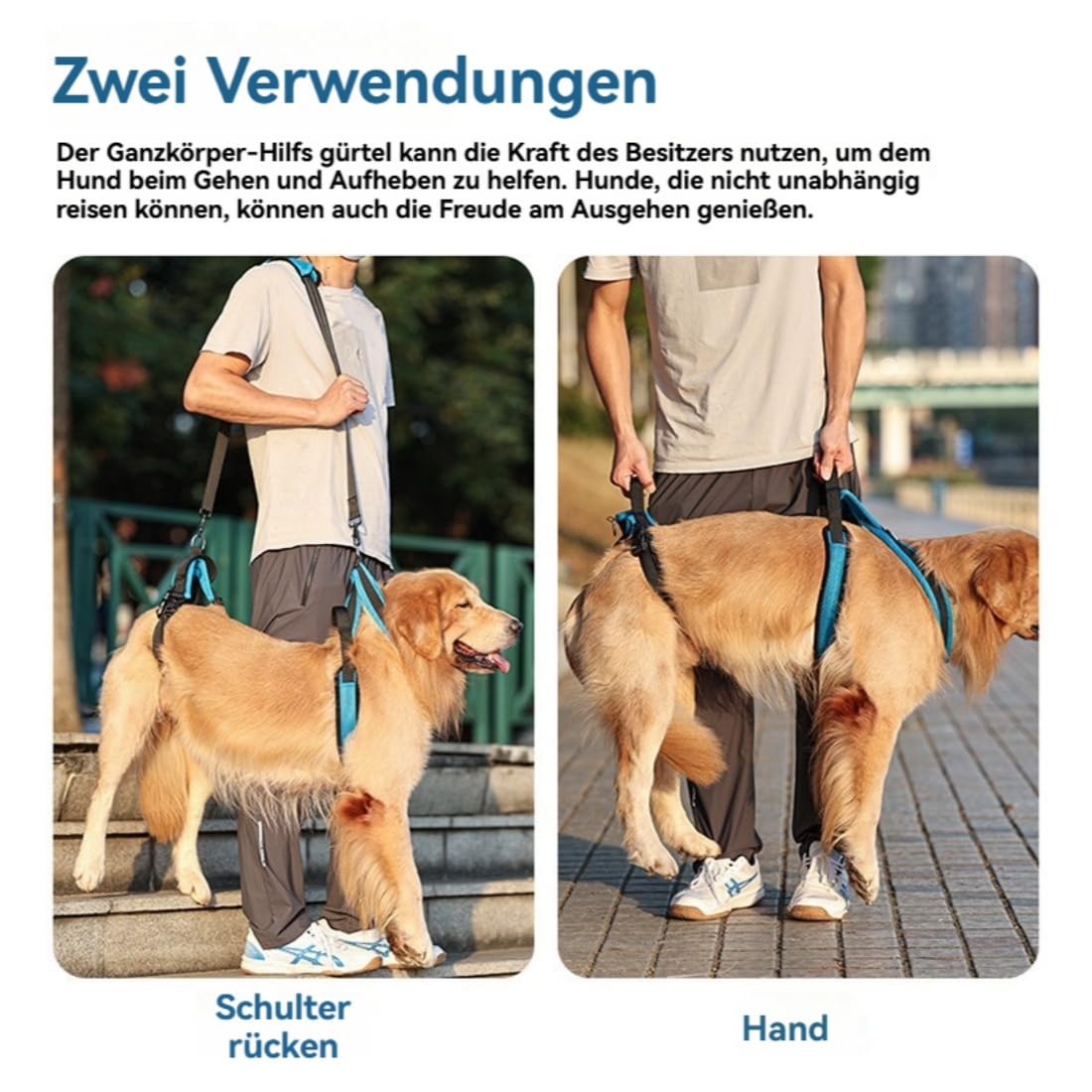 Mobilitätsgeschir, Hundegeschirr 3-60 Kg für Mittelgroße Große Mittel Hunde, Anti-Zieh-Geschirr, Verstellbares Sicherheitsgeschirr für Hunde mit Mobilitätseinschränkungen (L)