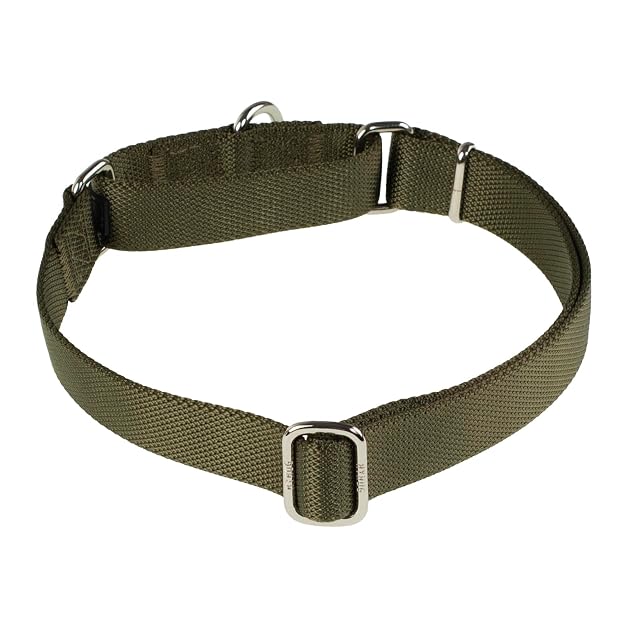 Foto 7 de 7 de Hyhug Pets Martingale - Collar para Perro, no destiñe, Collar de Entrenamiento Resistente sin Hebilla…