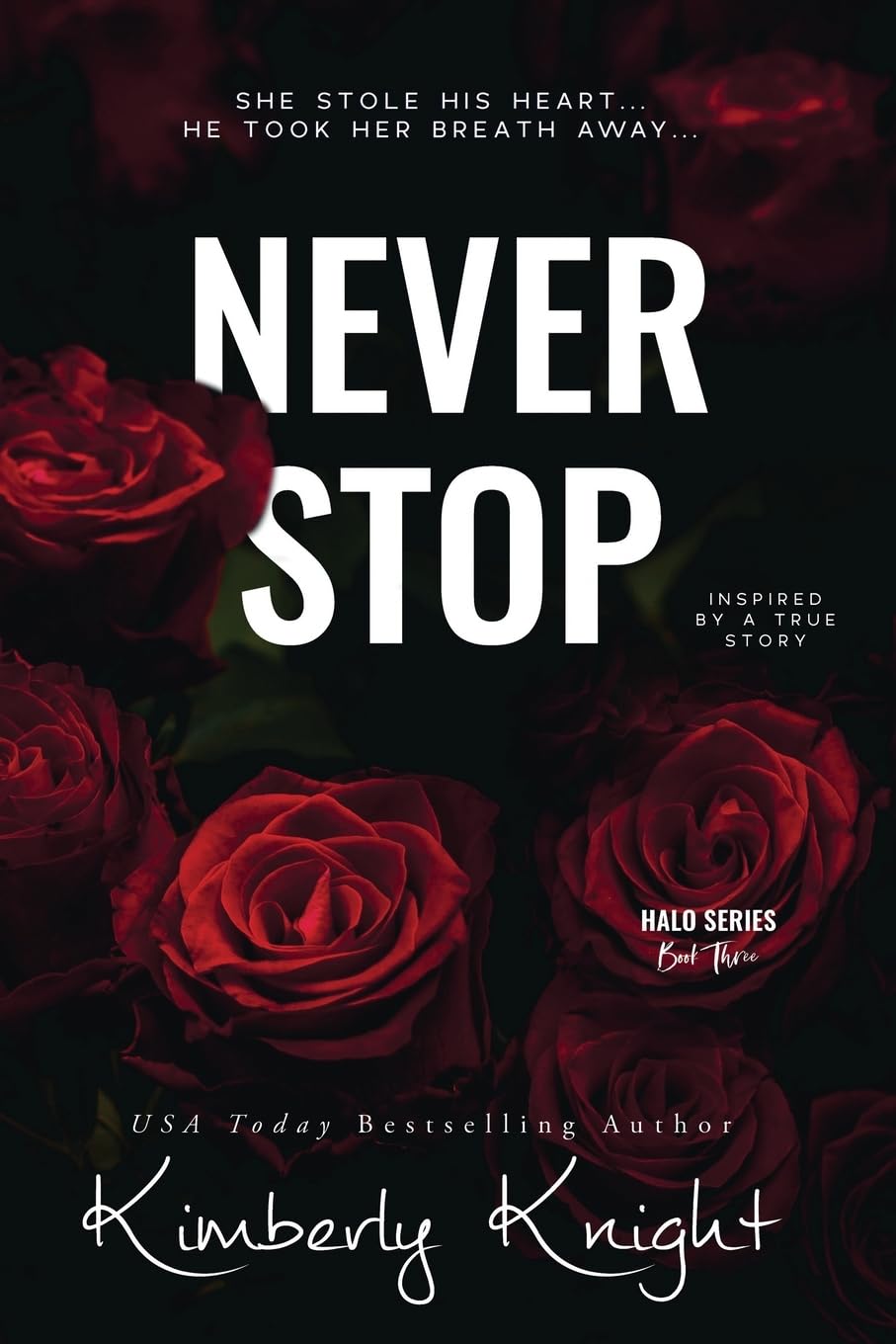 Never Stop: Volume 3 (The Halo Series)