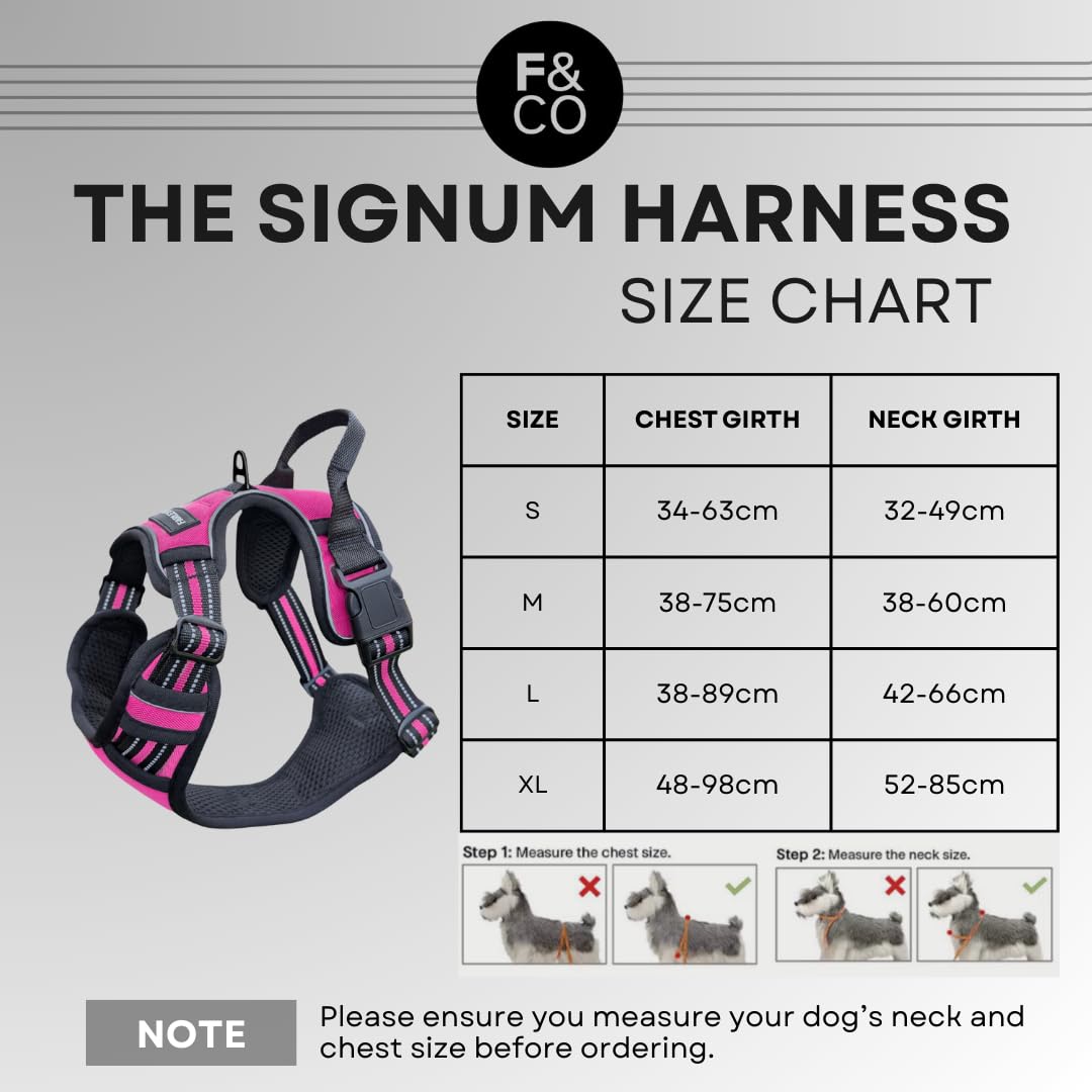 Farleys&Co Signum Dog Harness, Weather-Resistant, Anti-Pull System - Image 3