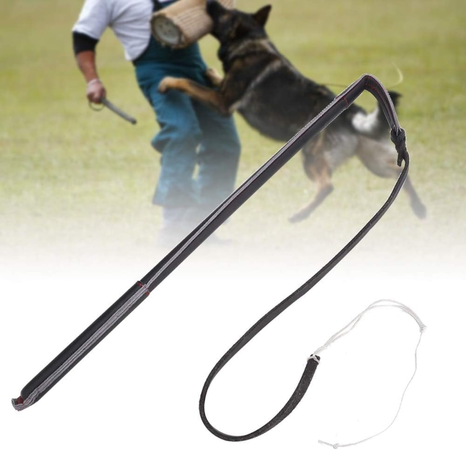 Cravache pour Chien,cravache de Dressage pour Chien en Cuir de Vachette avec poignée, Berger Allemand, entraînement pour Chien de Travail, Fouet pour Chien de Taille Moyenne