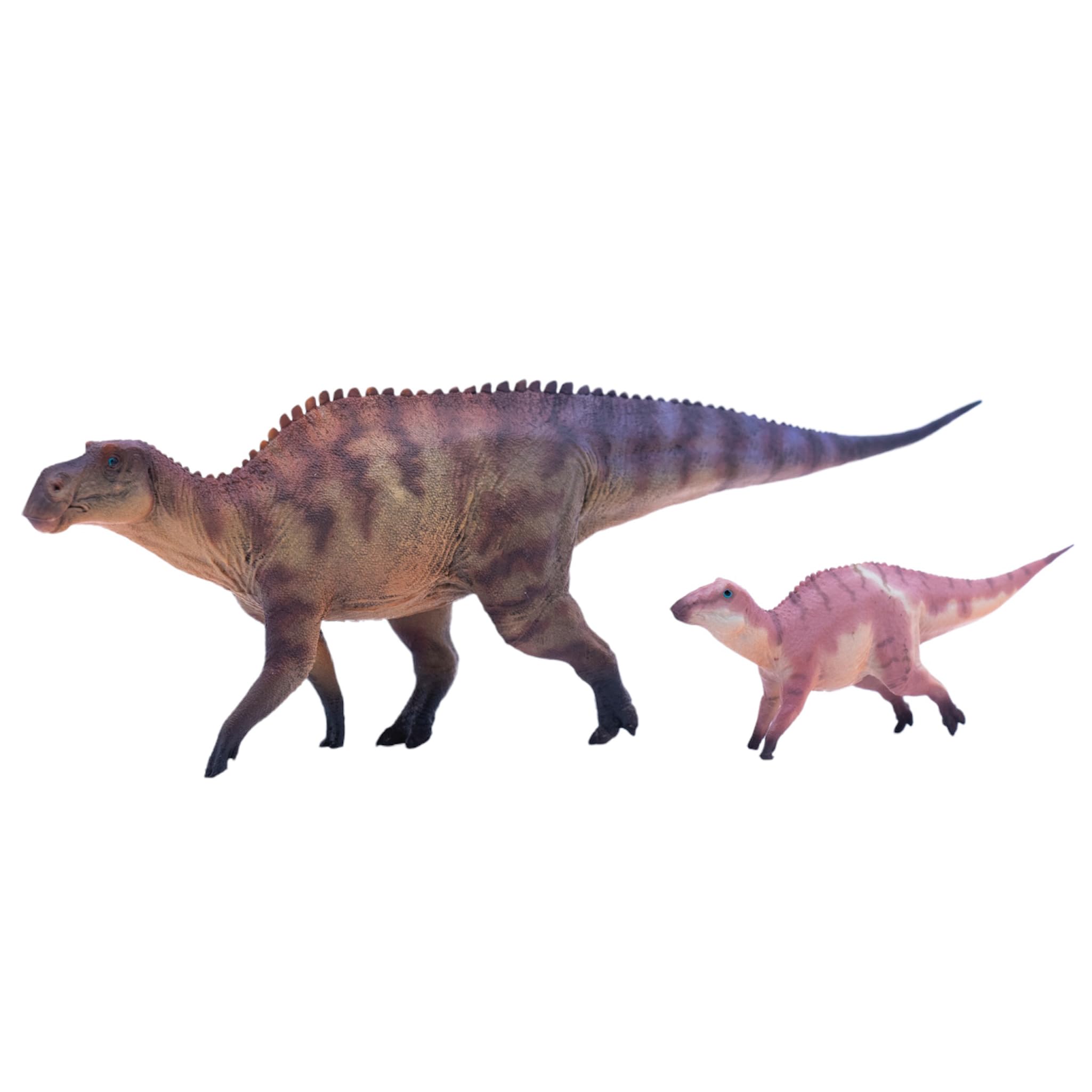HAOLONGGOOD New Maiasaura 1：35 Science and Art Model (Hua Di)