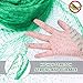 Philonext 13 Feet x 33 Feet Anti-Bird Netting Garden Plant Netting Bird Netting Heavy Duty Nylon Suit for Seedling Vegetables Flowers Fruit Bushes Reusable Fencing Garden Farm mesh