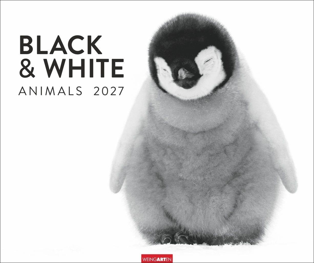 Black & White Animals 2027: Stars der Tierwelt in einem Fotokunst-Kalender! Großer Wandkalender für Tier-Freunde - hochwertige Aufnahmen in Schwarz-Weiß