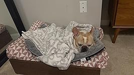 Review Image by Haojin,Jiang Haojin,Jiang