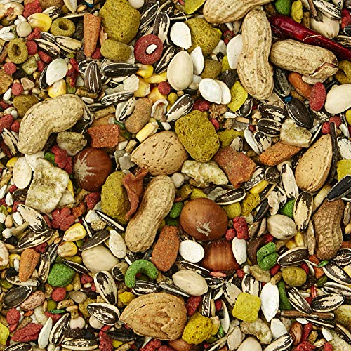 Kaytee Fiesta Macaw Pet Bird Food, 4.5 lb - Image 7