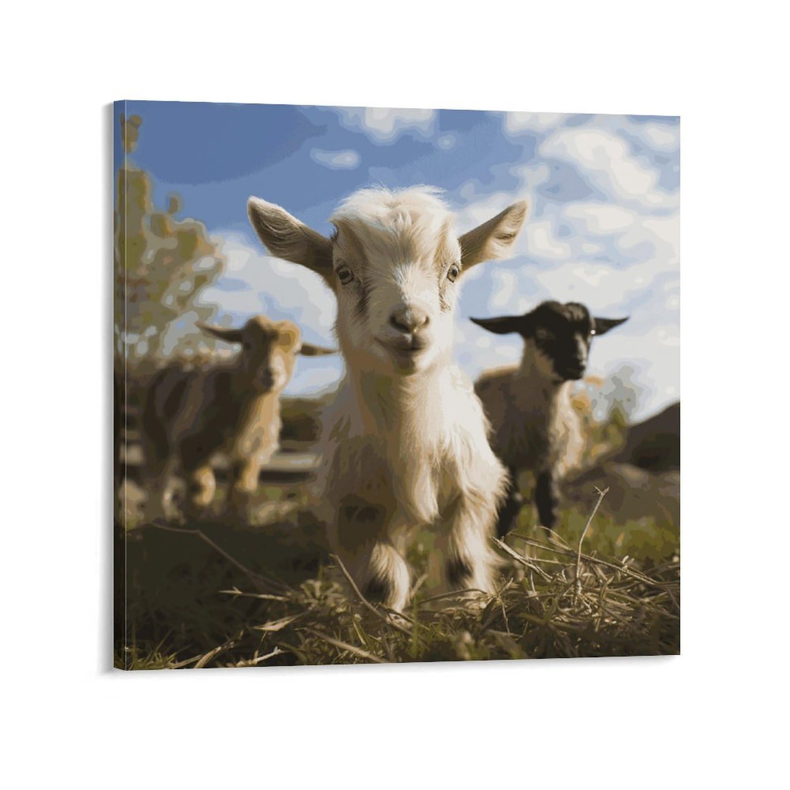 KLOPH Cute Goat Canvas Wall Art for Living Room 10x10inch Modern Artwork Painting for Bathroom Hanging Canvas Prints Aesthetic Wallart for Bedroom Kitchen Office Wall Decor
