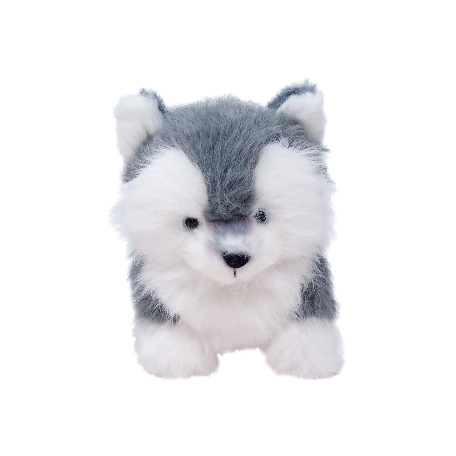 Amazon.co.jp: 内藤デザイン研究所 わたぽ ぬいぐるみ 犬のなかま S