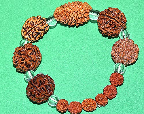 Migliori offerte Rudraksh Rudraksha 2 3 4 5 6 7