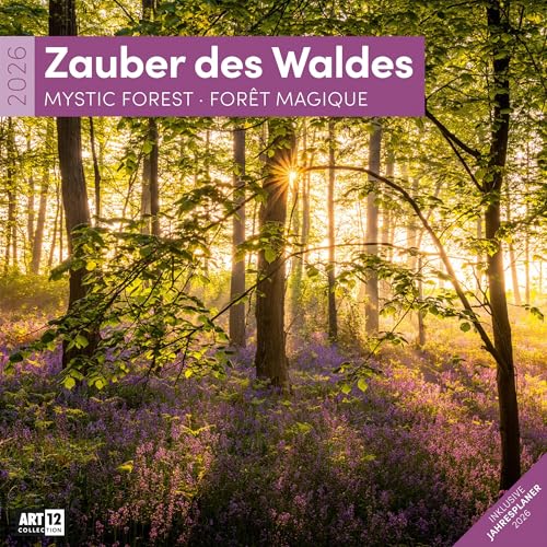 Zauber des Waldes Broschürenkalender 2026 - 30x30 - Art12 | Stilsicherer Wald-Kalender im schlanken Hochformat (aufgeklappt 30x60 cm) | zum Eintragen