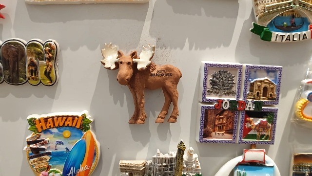 Imán de nevera 3D alce resina diseño New Hampshire miniatura 7