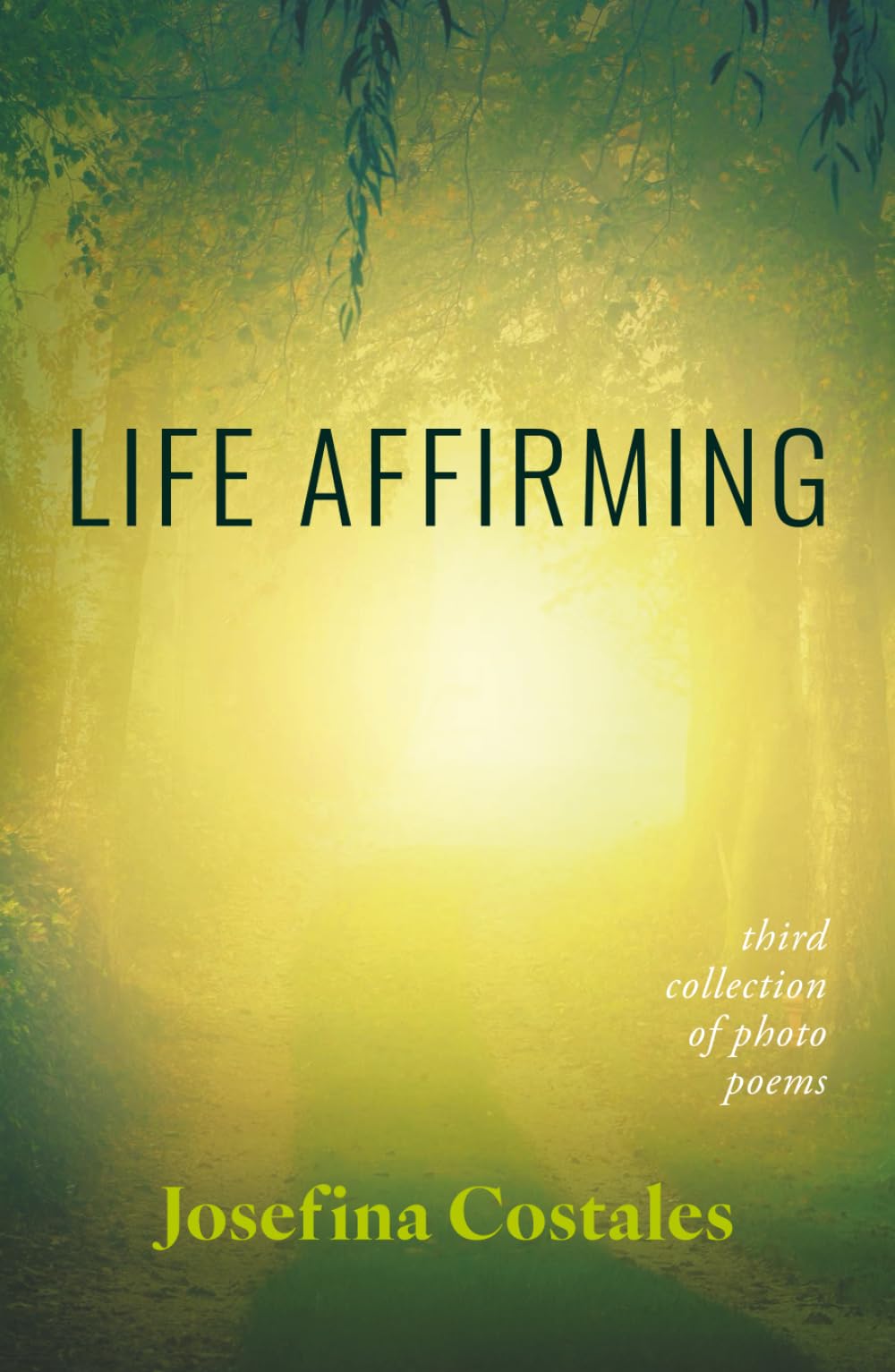 Life Affirming: Third collection of photo poems