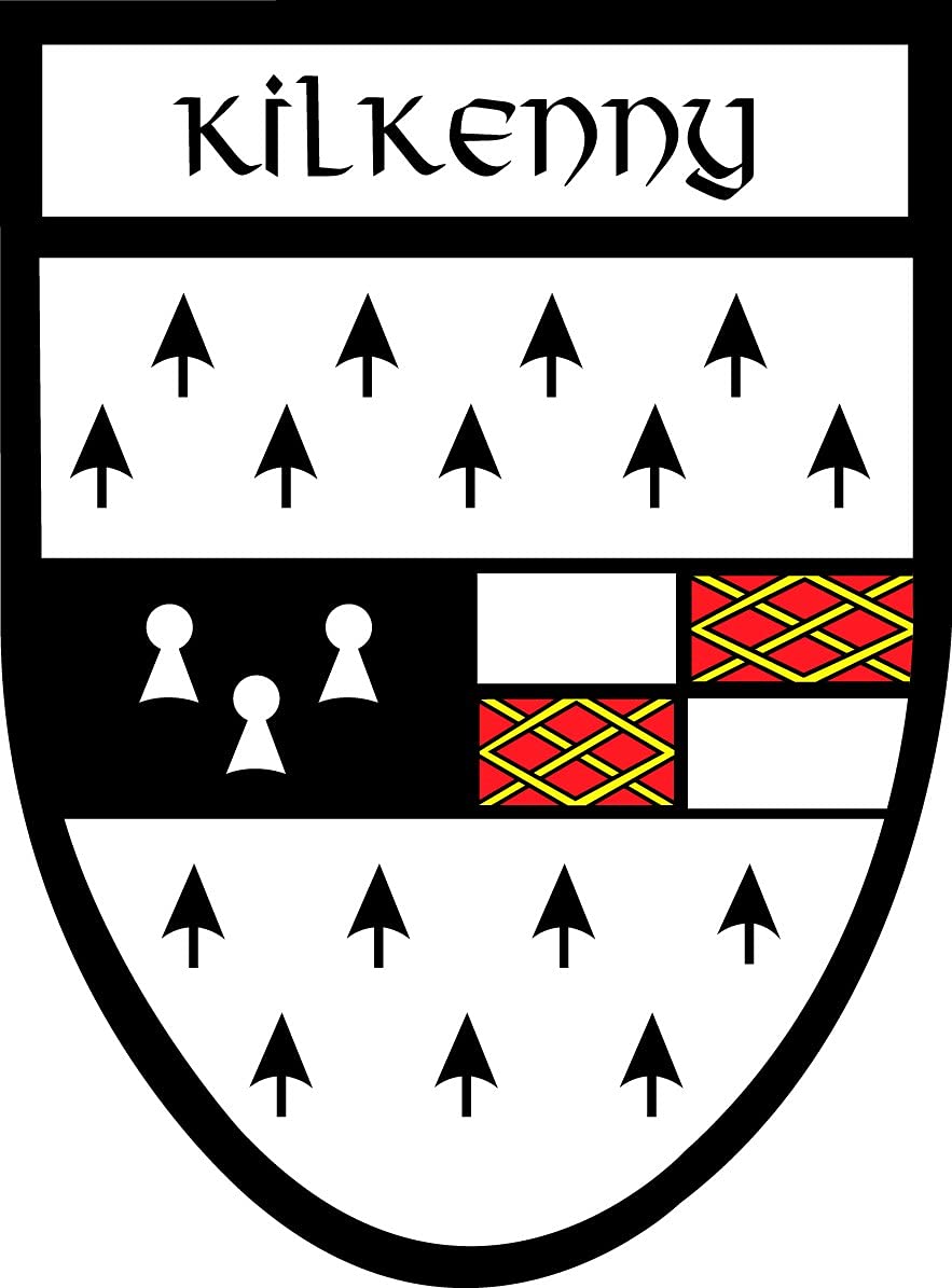 Eurostick Multicoloured Kilkenny Irish County Crest Shield Car Bike Sticker Decal Northern Ireland