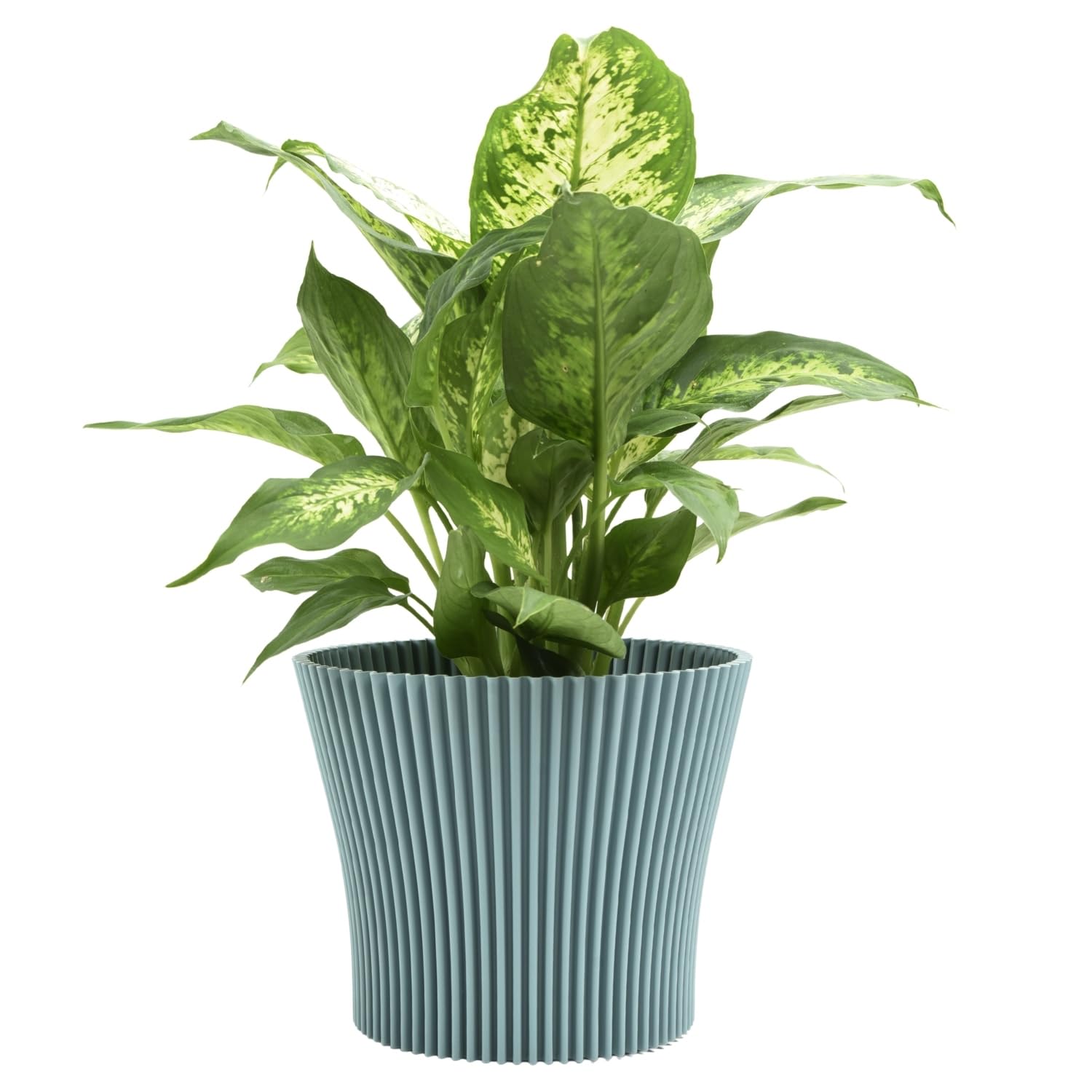 B2C Matt Ribbed Flower Pot – Modern Flared Conical Planter with Pleated Design, Lightweight, Indoor/Outdoor Decorative Plant Pot – Multiple Sizes & Colors (Green Mint, 11cm)