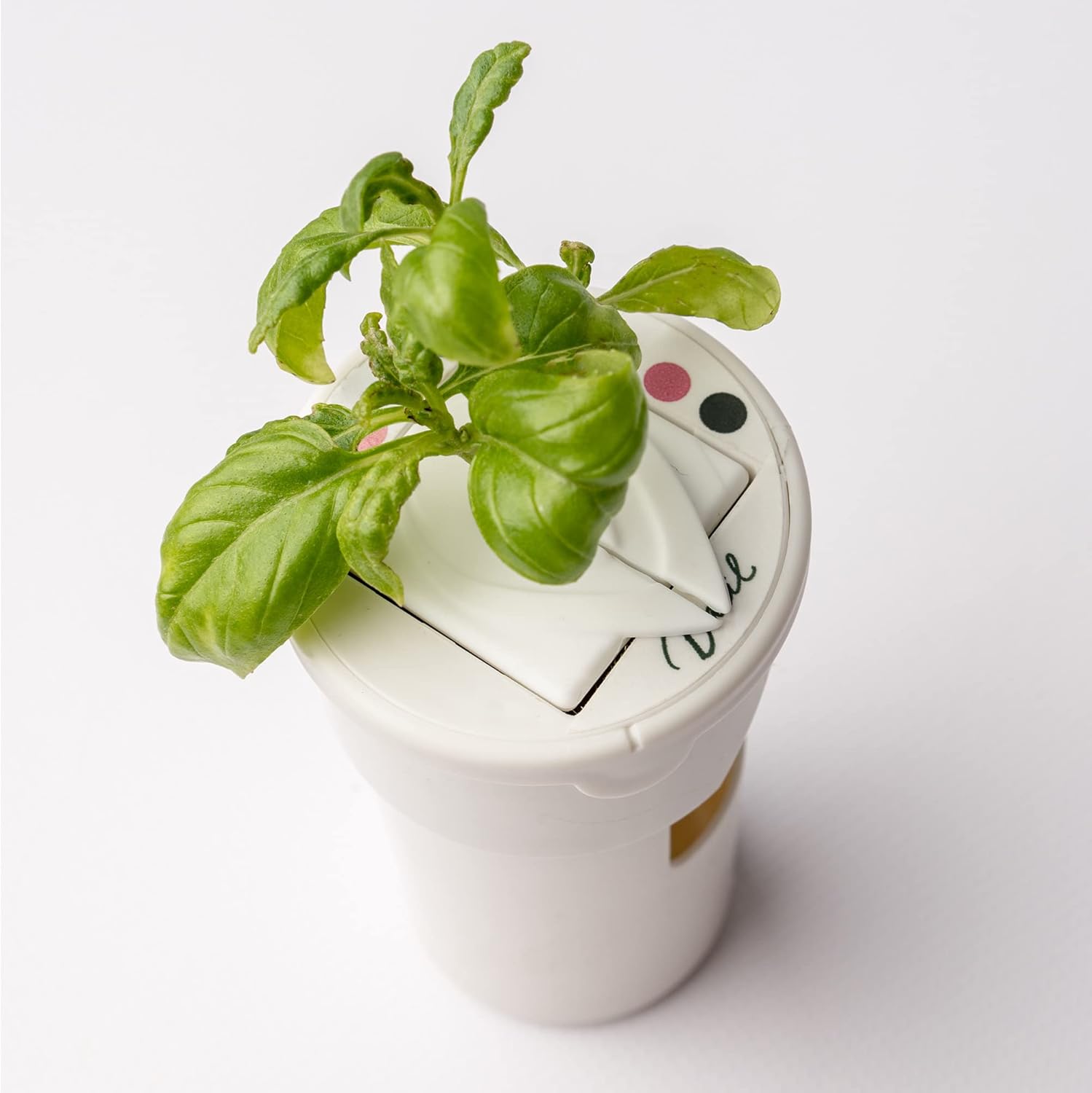 GARDYN yCovers – 10 Pack (for use with All Vertical Indoor Garden Hydroponics Growing System Kits & Tower Indoor Gardens) These Hydroponic Accessories fit Perfectly on yCubes