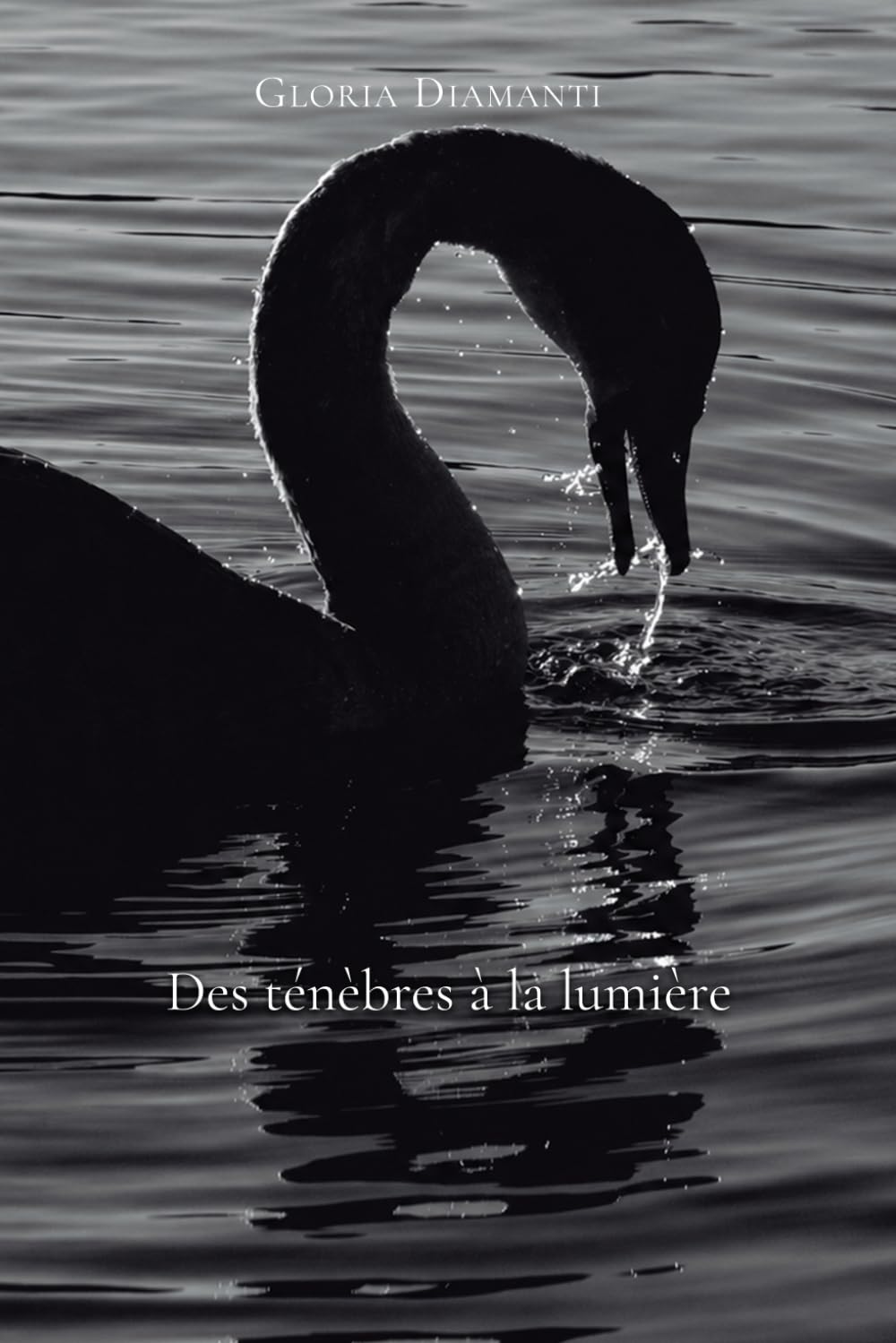 Des ténèbres à la lumière