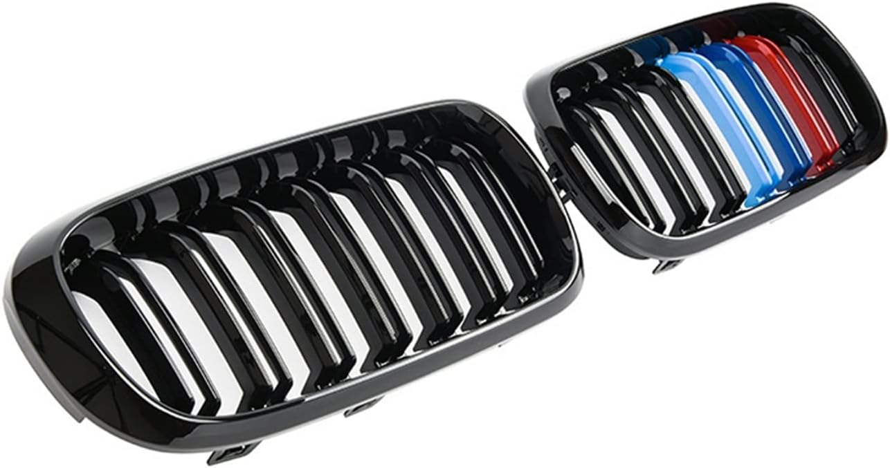 エクセルシオール　パラドクサ！標本！ エクセルシオール f.パラドクサ 標本！ 破格！