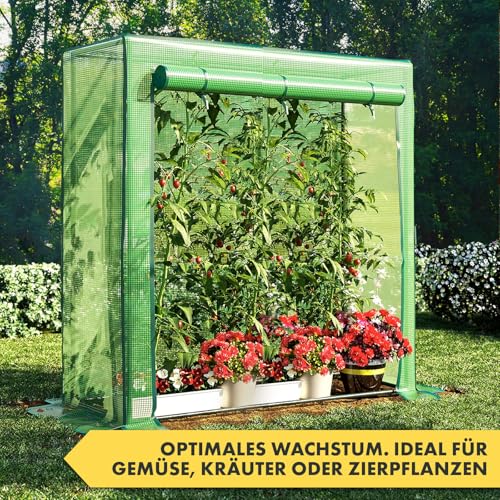 Relaxdays Tomatengewächshaus, Garten, Balkon, Foliengewächshaus Tomaten, HBT 150x100x50cm, Stahl, PVC-Folie, transparent 3 Relaxdays Tomatengewächshaus, Garten, Balkon, Foliengewächshaus Tomaten, HBT 150x100x50cm, Stahl, PVC-Folie, transparent – Bild 3