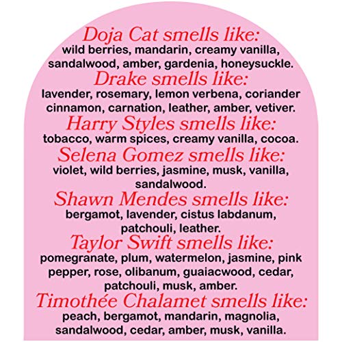 Cool Girl Candles | This Smells Like Harry Scented Candle | All Natural Coconut Soy Wax | The Best Strong Scented Candles For Home Fragrance | Clean Burning | Funny Gifts | 8.5 Fl Oz #TOP1