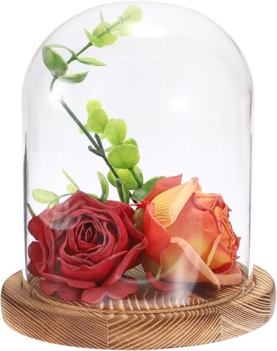 Miniatura 10 de JUXYES Cúpula de cristal con base de madera maciza, cúpula de cristal transparente, campana de terrario, tarro de cristal Cloche Bell para plantas,