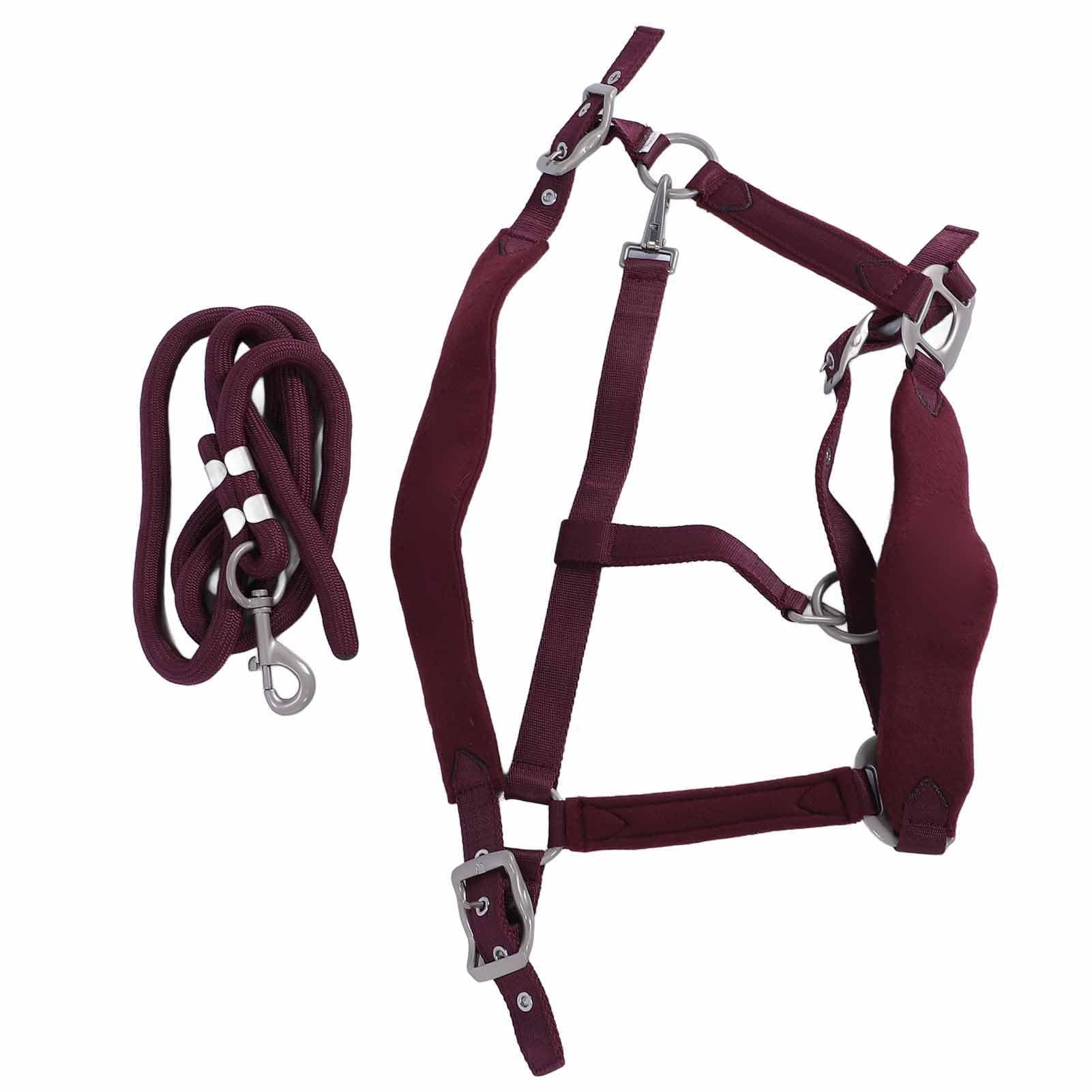 Cabestro para Caballos, Acolchado Ajustable de Poliéster, Juegos de Cabestro y Cuerda de Plomo Antifricción para Caballos, y Cuerda de Plomo para con Correa de 2 M para Entrenamiento Uso