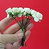 Product Photo 4