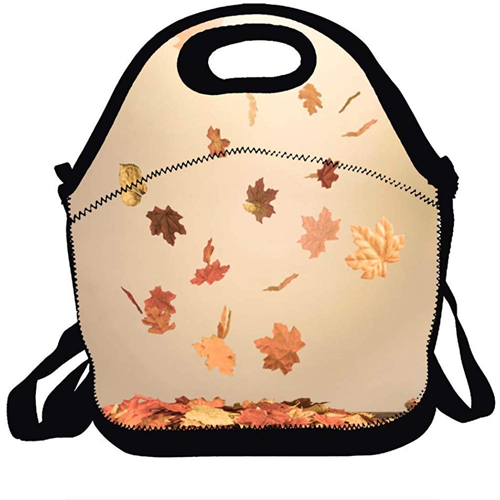 Ogden Women, Men, Kids, Girls, Boys, Adults Lunch Box Fall Leaves Falling In Light Beam Bag Lunch Tote with Shoulder Strap