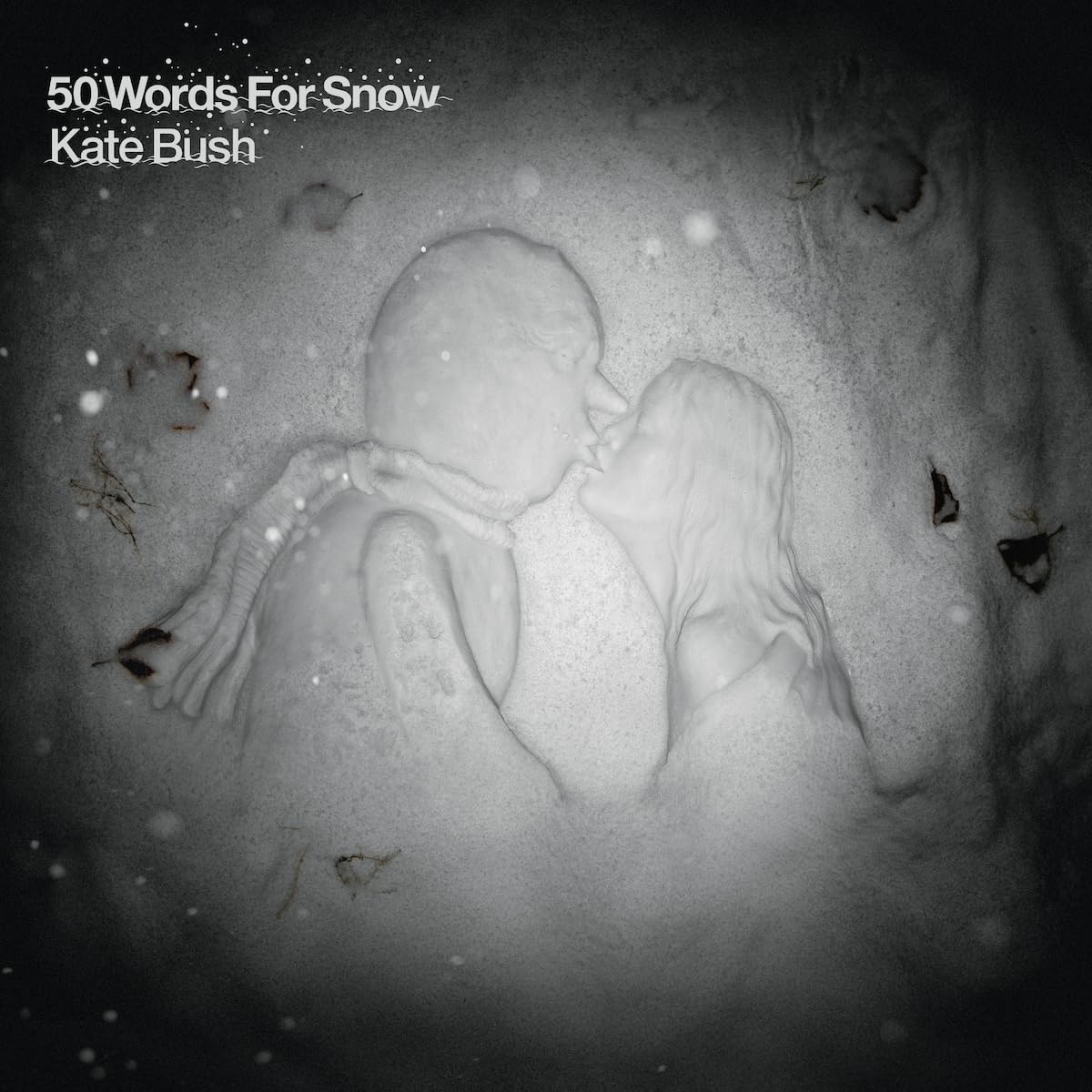 Vinyl Castle 50 Words For Snow