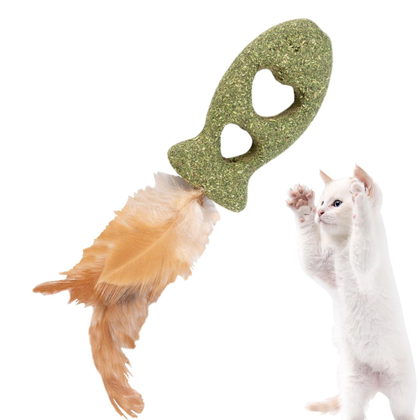 Kattenkruid Speelgoed Voor Binnenkatten - Interactief Silvervine