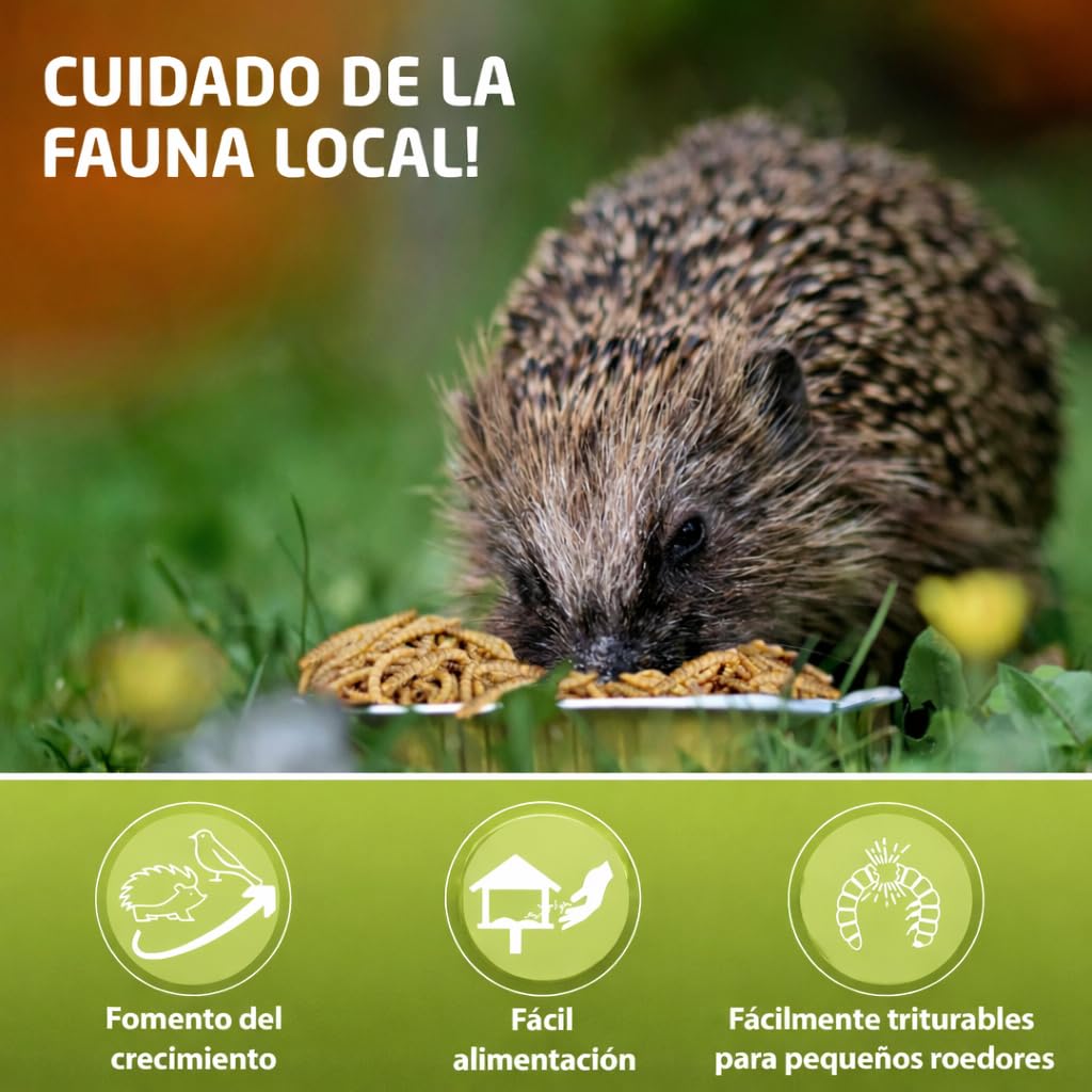 AF® Gusanos de la Harina Deshidratados 300g, 2,5L Tenebrios Molitor Natural para Reptiles, Erizos y Gusanos para Pájaros, Snack Alto en Proteína 52%, Comida para Vencejos 100% Natural — view 5