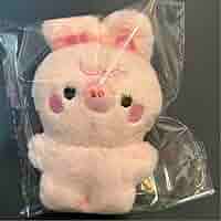 stray kids チャンビン　10cm ぬいぐるみ　新品　マスター　希少品 stray kids チャンビン ぬいぐるみ 10cm 新品 マスター - メルカリ