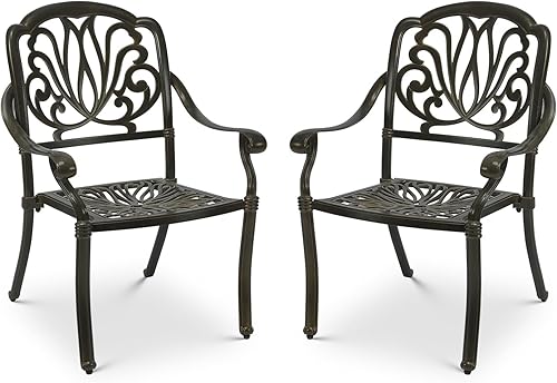 VIVIJASON Juego de 2 sillas de comedor para exteriores, sillas de comedor de aluminio fundido para patio, juego de sillas de bistró para balcón,