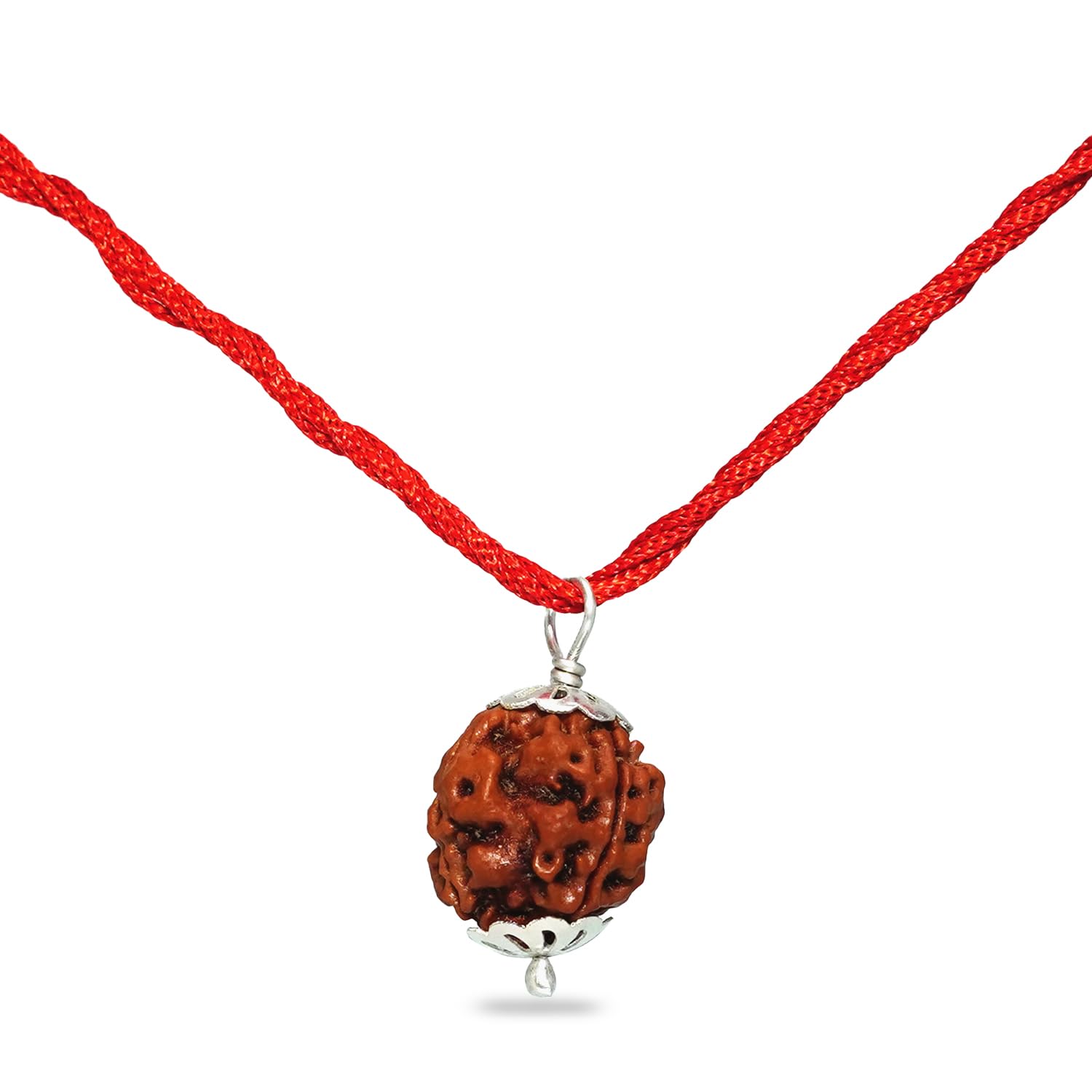 PUSHKARA NATURAL 3 MUKHI RUDRAKSHA CERTIFIED - NEPAL | BROWN | PJTL3M01 1