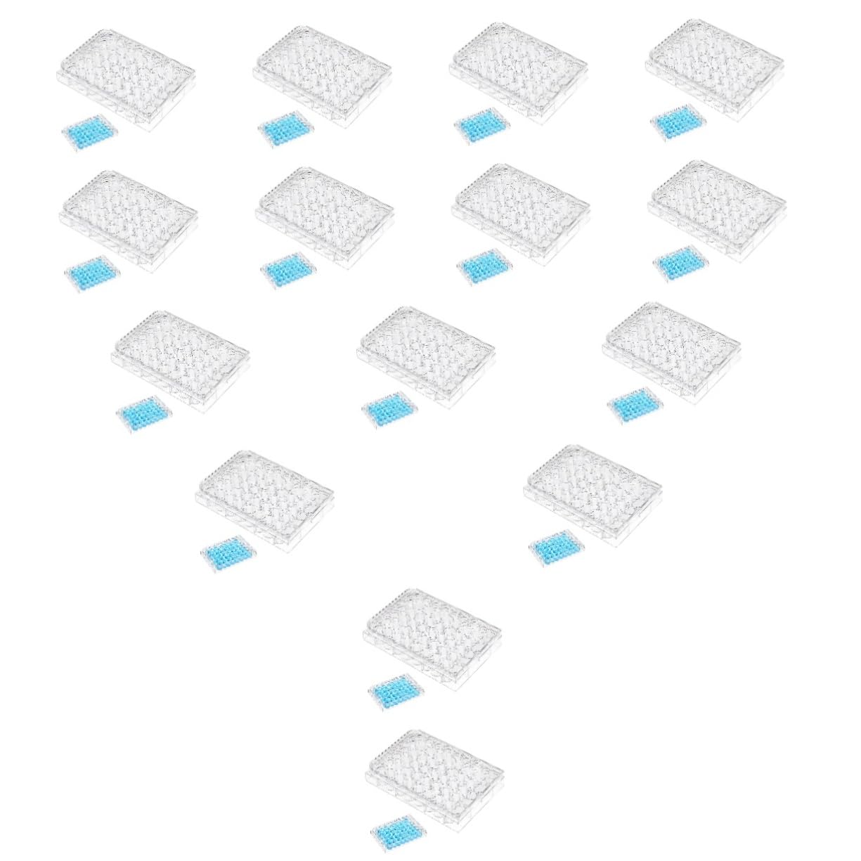 GLEAVI 15 Pezzi piastra di coltura cellulare scientifico piastra per coltura tissutale con coperchio BENE petri piatto pasquale asse vaschetta plastica piastra di coltura per