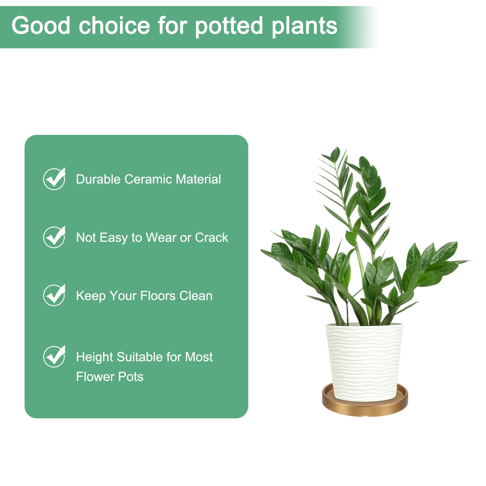 M METERXITY 2-Pack Ceramic Plant Saucer, 6.3 Inch 16cm Plant Water Catcher Tray - Image 3