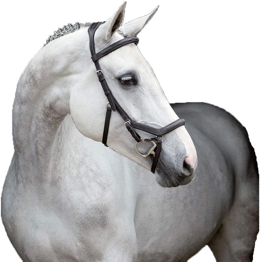 Rambo Micklem Deluxe Competition Bridle