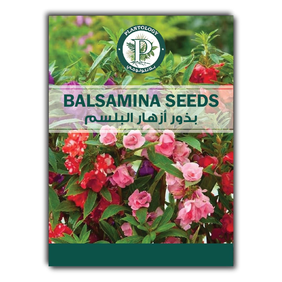 Balsamina Seeds for Planting - Natural Premium Balsamina Seeds - Beautiful Flower Planting Seeds - Colorful Easy Growing Impatiens Balsamina Balsam Flower Seeds Best Garden Plant 10+Seeds