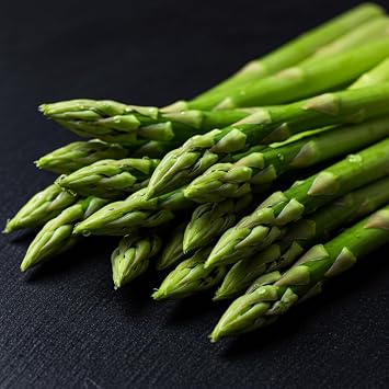 Mary Washington Asparagus 2-Year Crowns 10 Bare Root Perennial Plants Easy-Grow, High-Yield Spears for Home Gardens and Containers