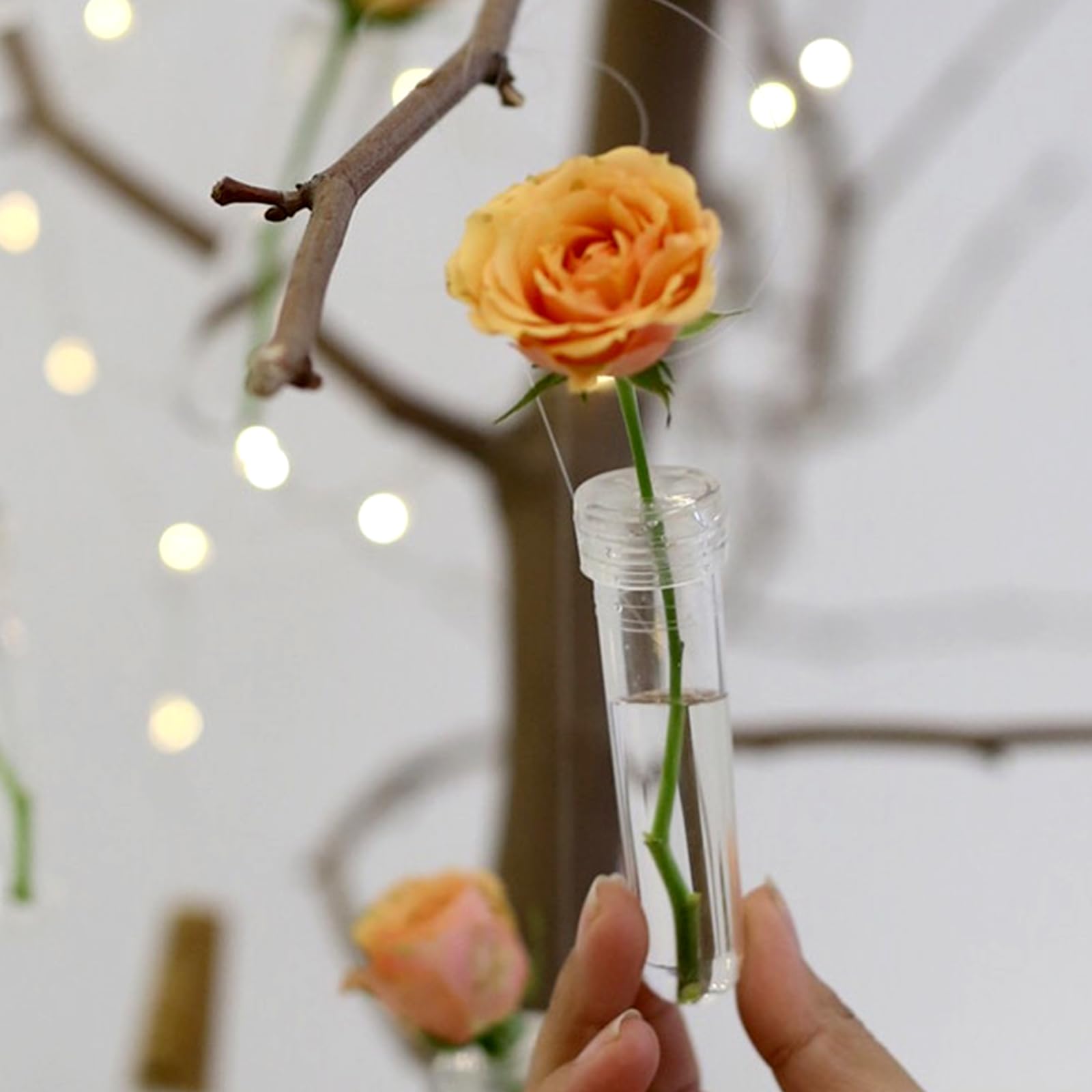 10 tubi per fiori con coperchio, tubi per orchidee in plastica, per conservazione, in vetro reattivo, con coperchio, per fiori decorativi