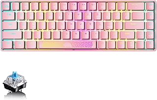 60% Mechanical Gaming Keyboard Mini Portable with RGB Backlit Compact 68 Key Anti-Ghosting Rainbow Backlight Ergonomic Wire USB C Waterproof Compatible With PS4,Xbox,PC,Laptop - Pink/Blue Switch
