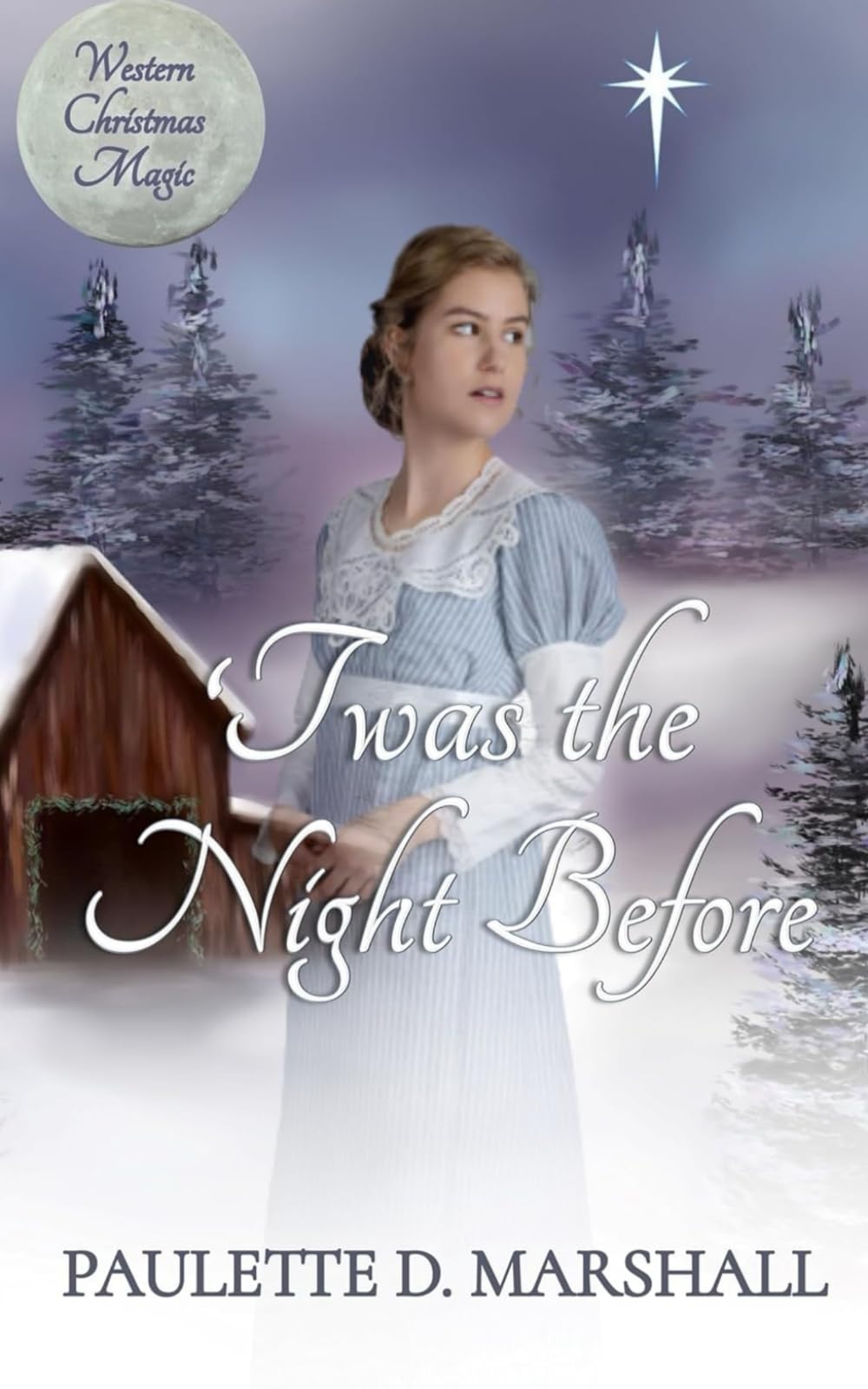 'Twas The Night Before: Western Christmas Magic Series